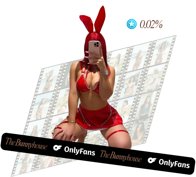 Modelo OF Bunnyhouse